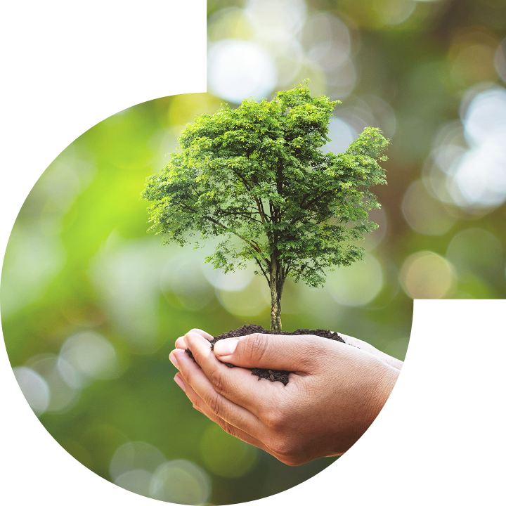 關懷人類、文化、環境與社會